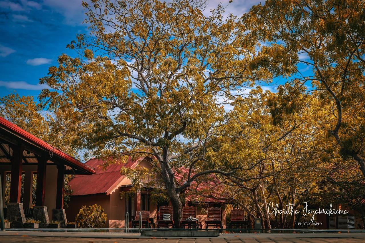 Yala Chalets By Lalan Leisure Kirinda  Bagian luar foto