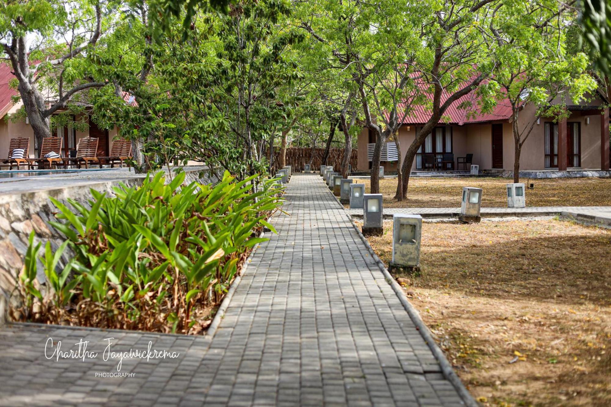 Yala Chalets By Lalan Leisure Kirinda  Bagian luar foto